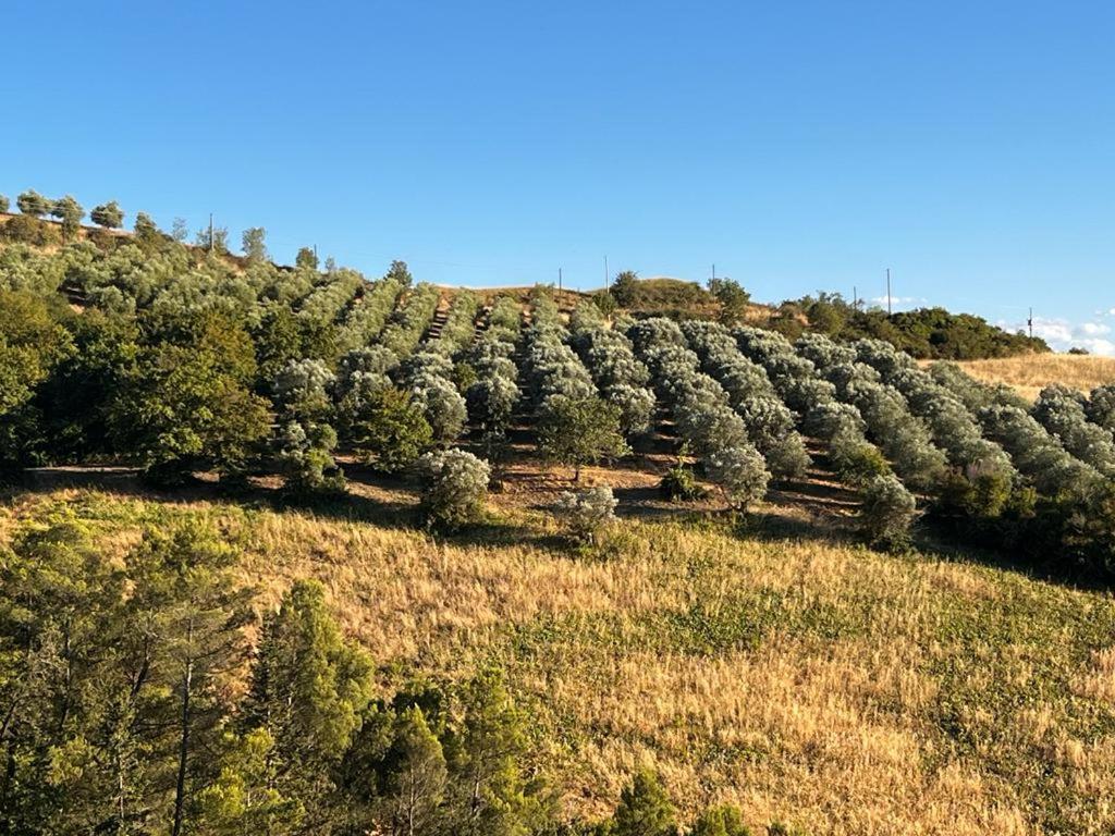 Antica Colombaia Lägenhet Volterra Exteriör bild